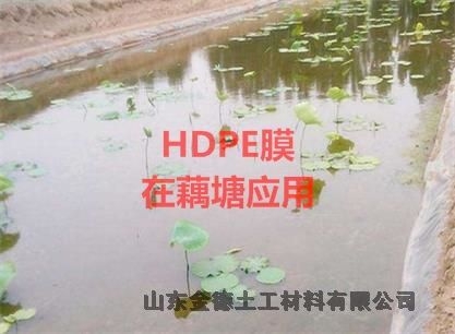 污水池黑膜 1mm土工膜商丘eva復合防水板