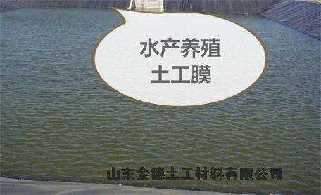 垃圾填埋場(chǎng)噴糙面1.2mm厚黑膜成都新型合成材料企業(yè)