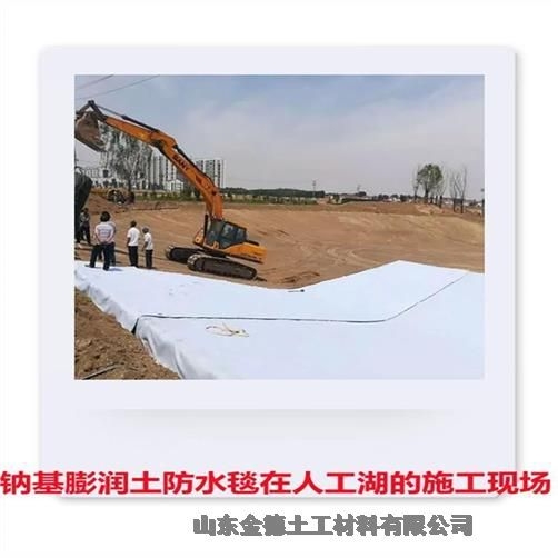 HDPE膜1.2mm厚深圳防滲長(cháng)久針刺復合防水毯膨潤土毯4公斤