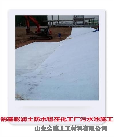 土工膜1.5mm厚嘉峪關(guān)垃圾填埋場(chǎng)復合防水毯膨潤土毯每平方6千克