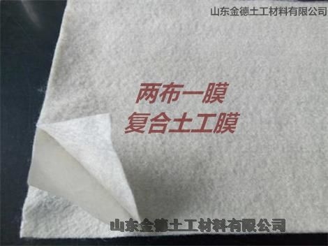 長(cháng)絲土工布200g 垃圾填埋場(chǎng)防滲隔離美標100絲厚HDPE膜 松溪縣